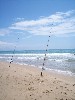 Guardamar beach